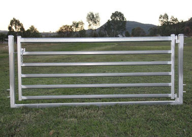 Portable Sheep Yard Panels 16"X 48" Galvanized 40mm Square Pipe Material
