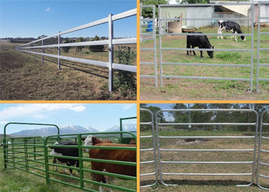 Easily Assembled Farm Fence Panels 1.8*2.1m Round Pipe Cattle Yard Gates