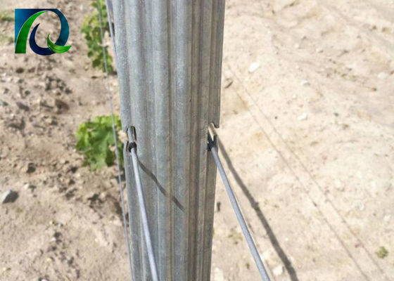 1.5mm 2.0mm 50x40mm Metal Vineyard Trellis โพสต์พร้อม H Holes