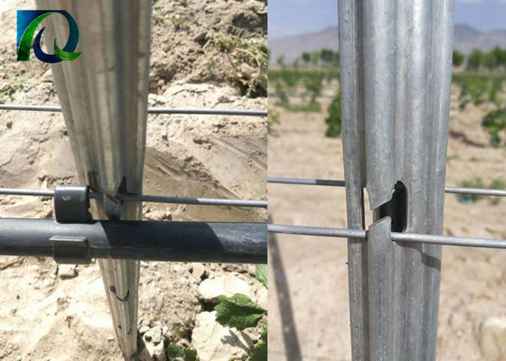 Anti Rust 1.6-3.0MM Wire 54x30mm Vineyard Trellis โพสต์