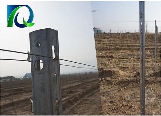 3.0mm U Type 275G Zinc Metal Orchard Trellis โพสต์