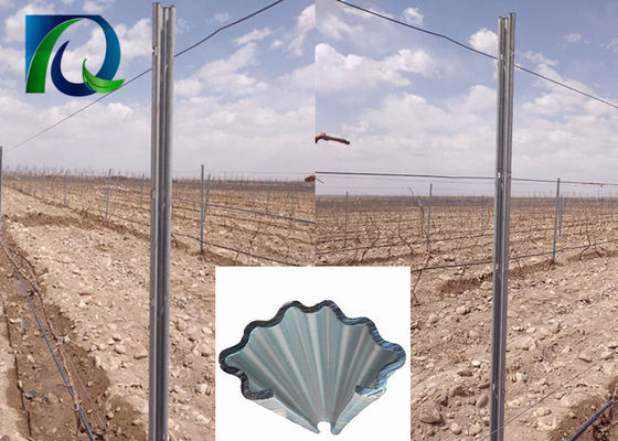 โพสต์ Trellis Vineyard โลหะหนัก 4.0 ม. พร้อมรูรูปตัว H